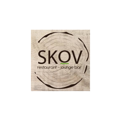 Andre Dierickx Referentie - SKOV